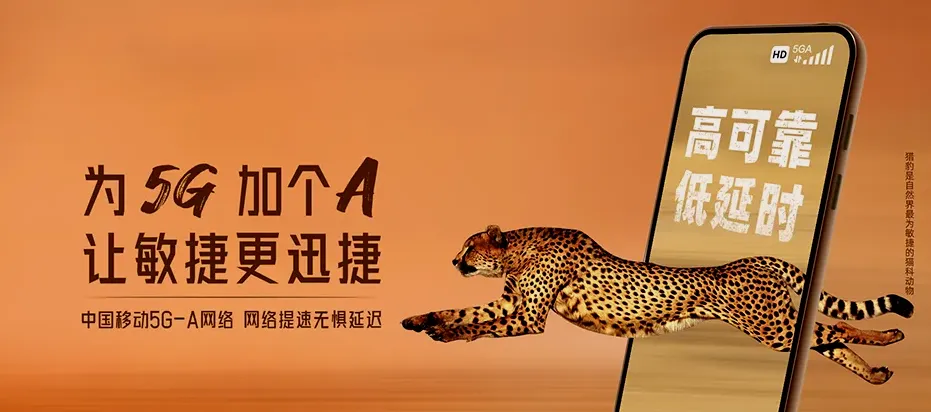 盈江县盈江县那邦镇 移动宽带